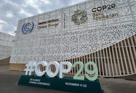 COP29 Banner